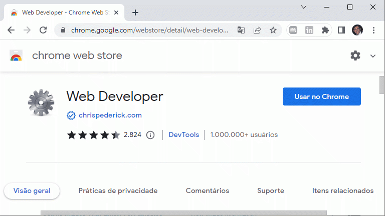 Google Chrome - web developer plugin