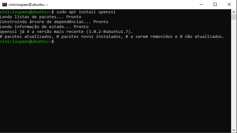 ubuntu sudo apt install openssl
