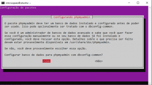 ubuntu sudo apt install phpmyadmin dbconfig common