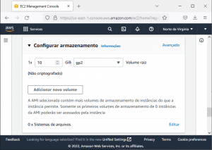 Amazon AWS - nova instância EC2 - escolher armazenamento