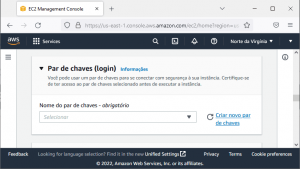 Amazon AWS - nova instância EC2 - escolher novo par de chaves