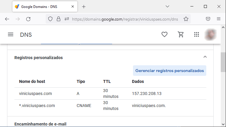 Google Domains - entradas DNS personalizadas criadas com sucesso