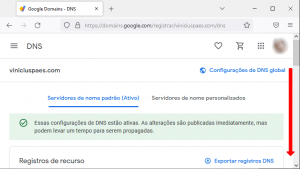 Google Domains - Página de DNS do domínio