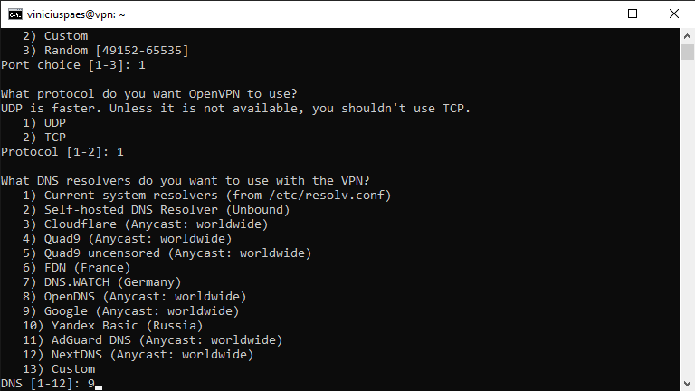 VPN grátis - executar o script instalação OpenVPN - escolher servidor DNS