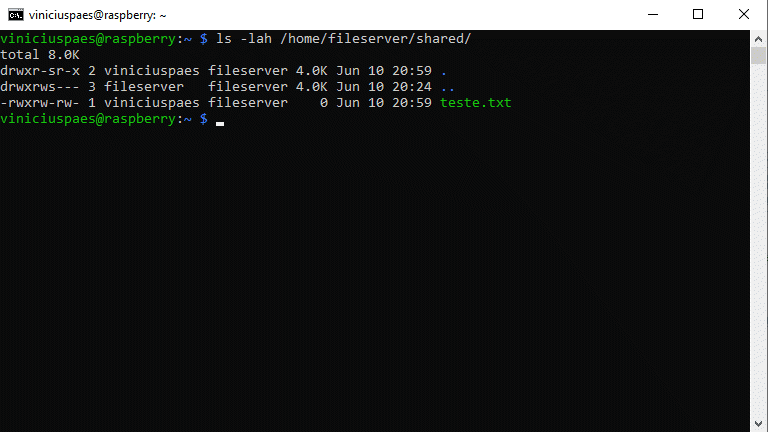 Raspberry Pi NAS - ls -lah na pasta compartilhada do servidor para verificar se o arquivo de teste foi criado corretamente