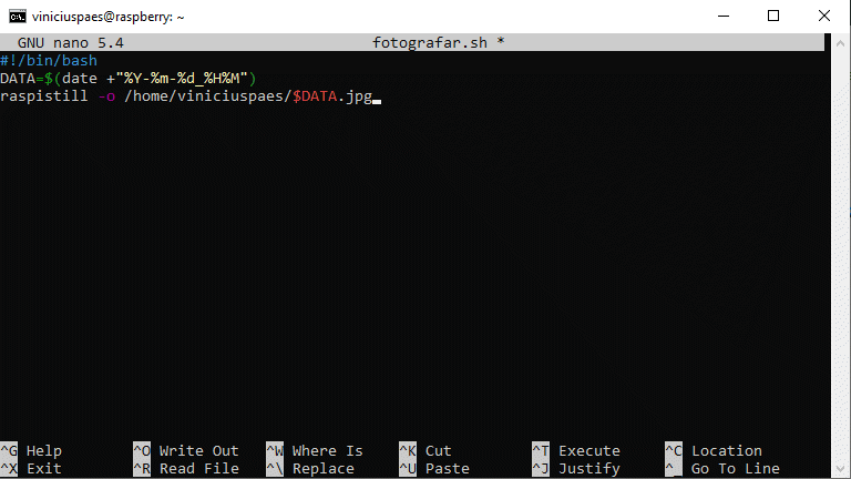 Raspberry Pi Time Lapse - copiar código para dentro do arquivo