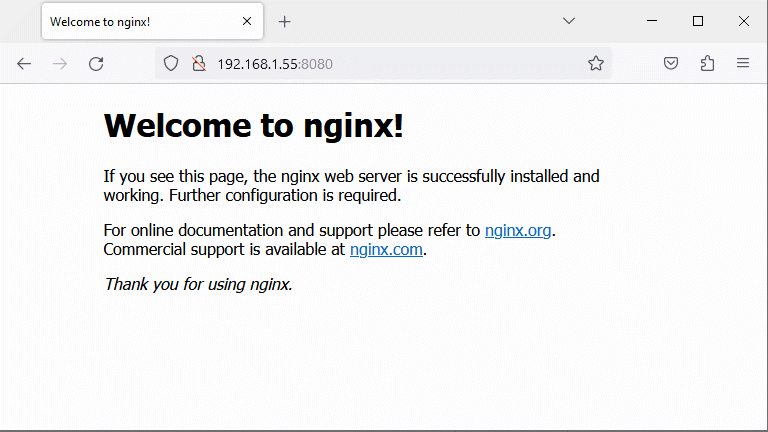 Nginx Docker Container Running