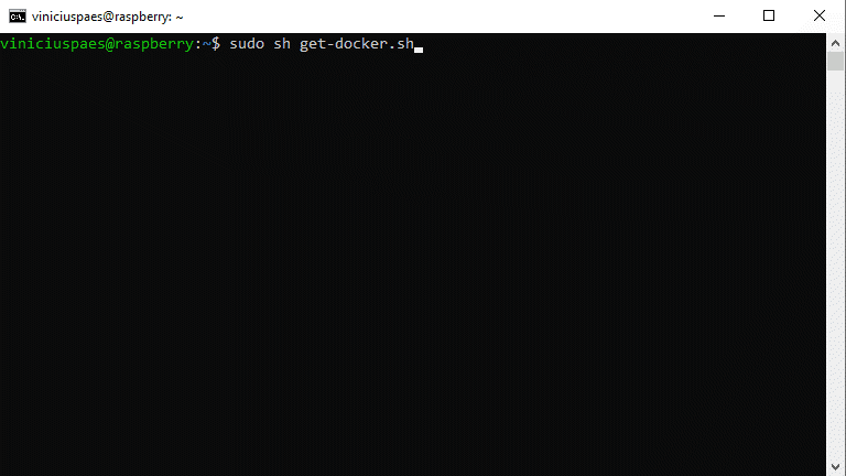 Instalar Docker no Raspberry Pi - execução script de instalação docker