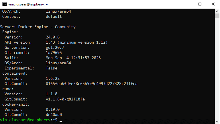 Instalar Docker no Raspberry Pi - verificar versão do docker instalada - resultado