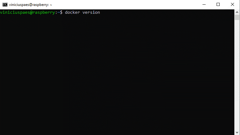 Instalar Docker no Raspberry Pi - verificar versão do docker instalada
