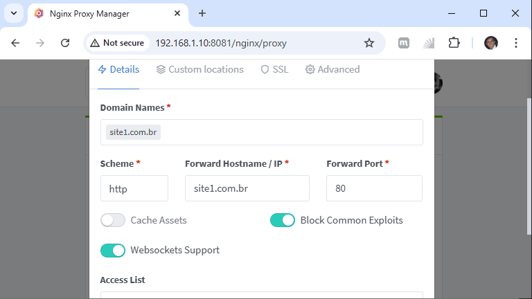 Nginx Proxy Manager - configuração do domínio