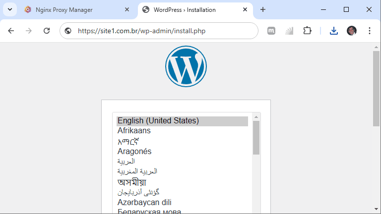 Nginx Proxy Manager - proxy reverso configurado - pronto para instalar wordpress
