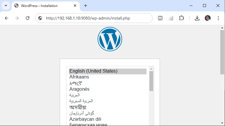 Nginx Proxy Manager - verificando funcionamento container wordpress